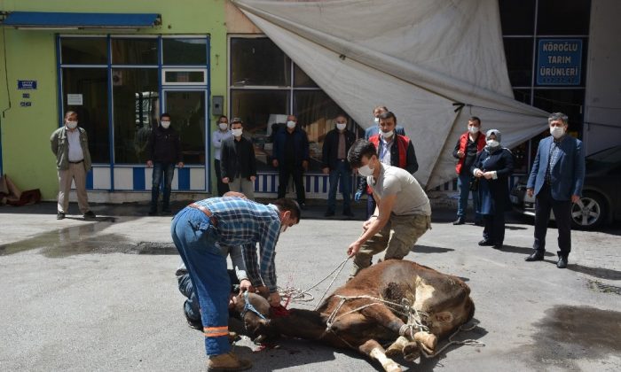 Örenli ailesi kurbanı belediyeye bağışladı
