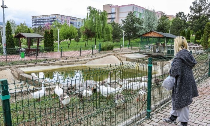 Üniversite öğrencisi kampüs bahçesindeki hayvanları unutmadı