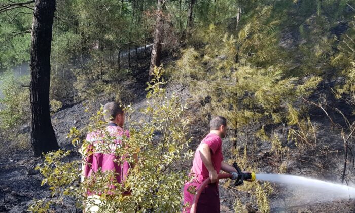 Karabük’te çıkan örtü yangını korkuttu