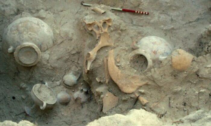 Sahte tarihi eser operasyonunda 3 kişi adli kontrolle serbest bırakıldı