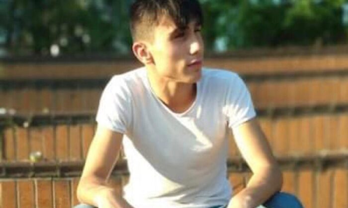 Kesilen ağacın çarptığı genç hayatını kaybetti