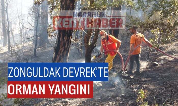 Ormanda çıkan yangın kontrol altına alınmaya çalışılıyor