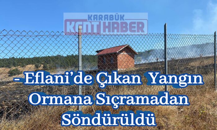 Eflani’de çıkan yangın ormana sıçramadan söndürüldü