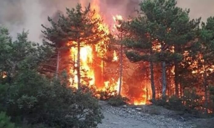 Karabük’te orman yangınlarına karşı önlem alındı