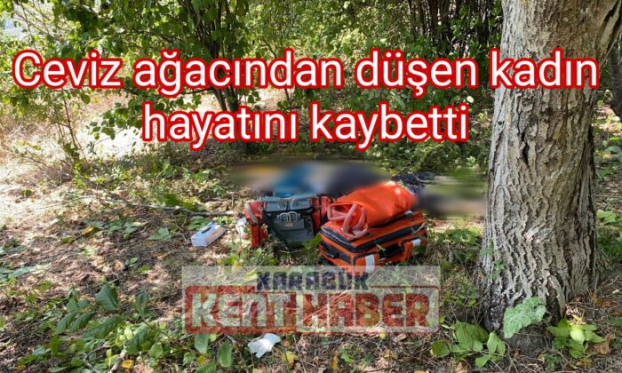 Ceviz ağacından düşen kadın hayatını kaybetti