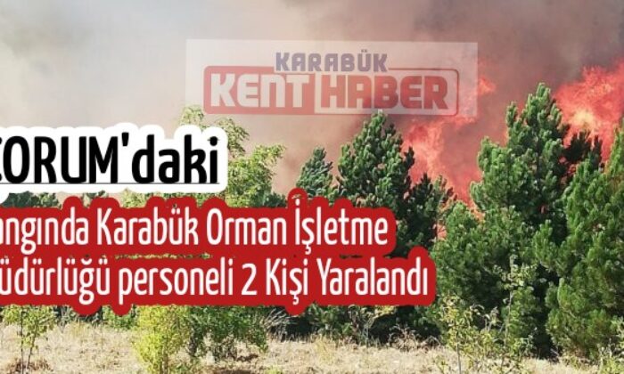 Çorum’da orman yangınına müdahale eden 3 kişi yaralandı