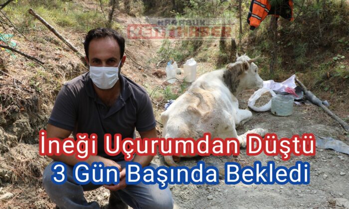 Uçurumdan düşerek yaralanan ineğinin başında üç gün bekledi