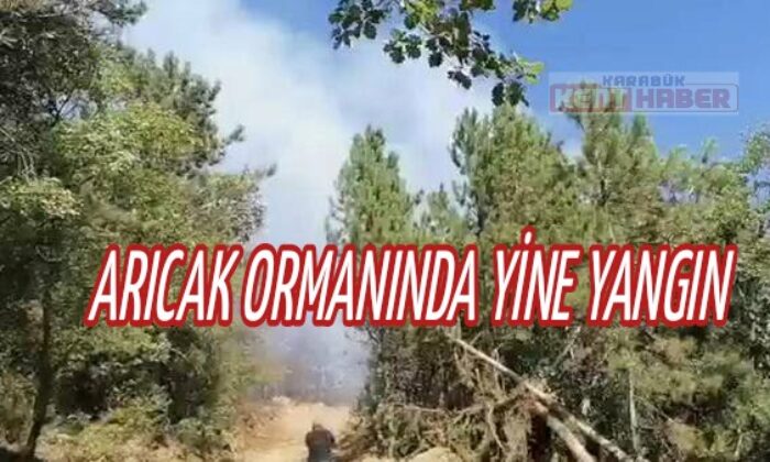 Karabük’te Çıkan Orman Yangını Söndürüldü