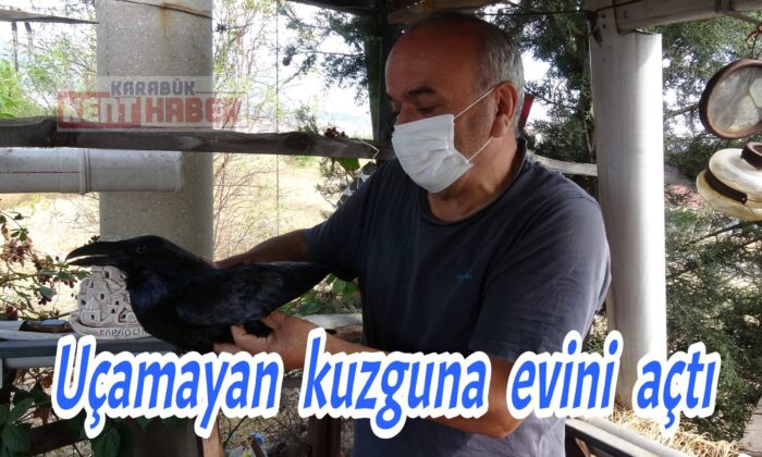 Uçamayan kuzguna evini açtı