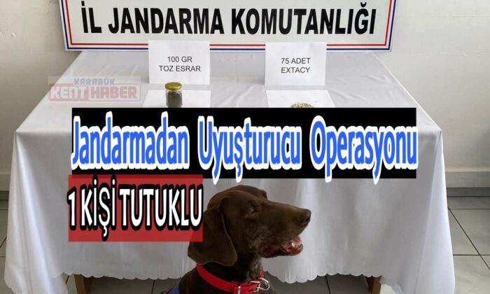 Jandarmadan uyuşturucu operasyonu