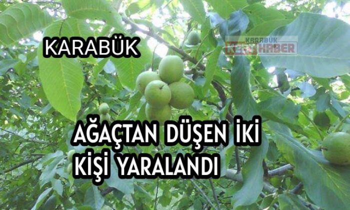 Karabük’te ağaçtan düşen iki kişi yaralandı