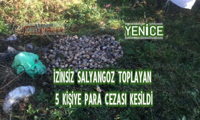 Karabük’te izinsiz salyangoz toplayan 5 kişiye para cezası