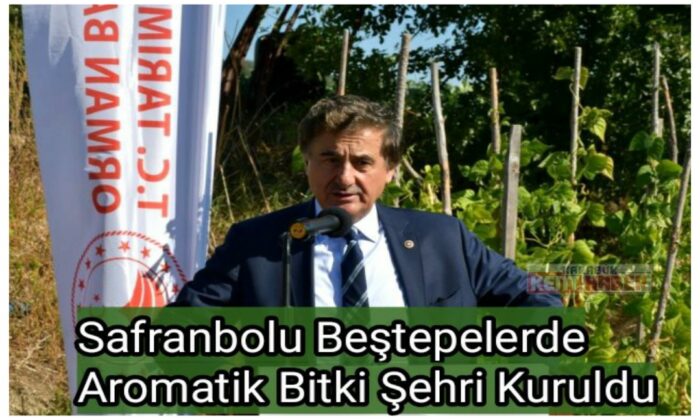 Safranbolu’da 100 dönüm alanda Aromatik Bitki şehri kuruldu