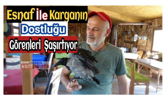 Esnaf ile karganın dostluğu görenleri şaşırtıyor