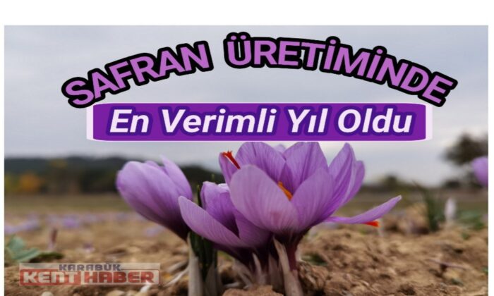 Safran üretiminde en verimli yıl oldu