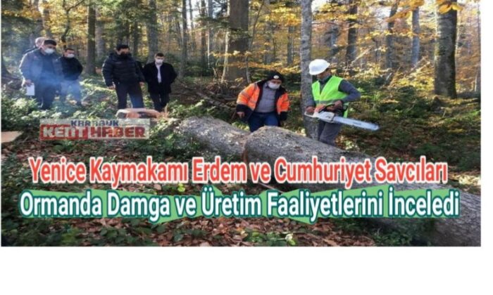 Kaymakam Erdem ve cumhuriyet savcıları ormanda damga ve üretim faaliyetlerini inceledi