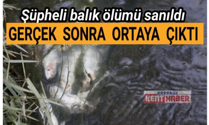 Şüpheli balık ölümü sanıldı ama gerçek sonra ortaya çıktı