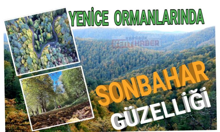 Yenice ormanlarında sonbahar güzelliği