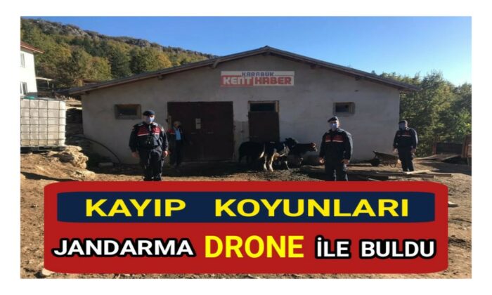 Kayıp koyunları jandarma drone ile buldu