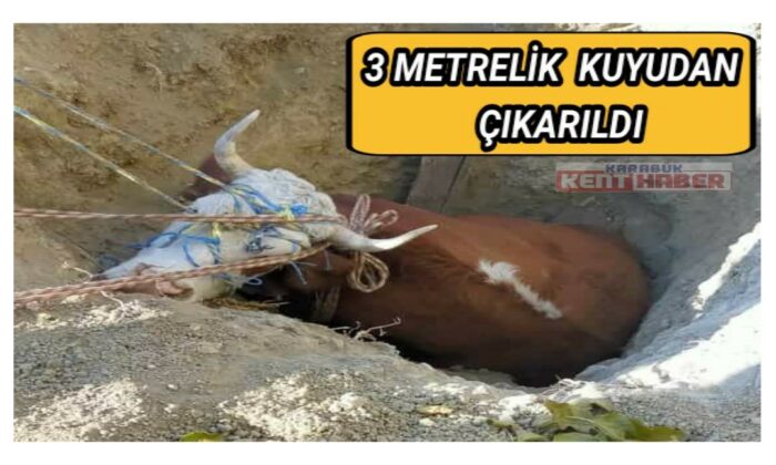 Kuyuya düşen ineği ekipler çıkarttı