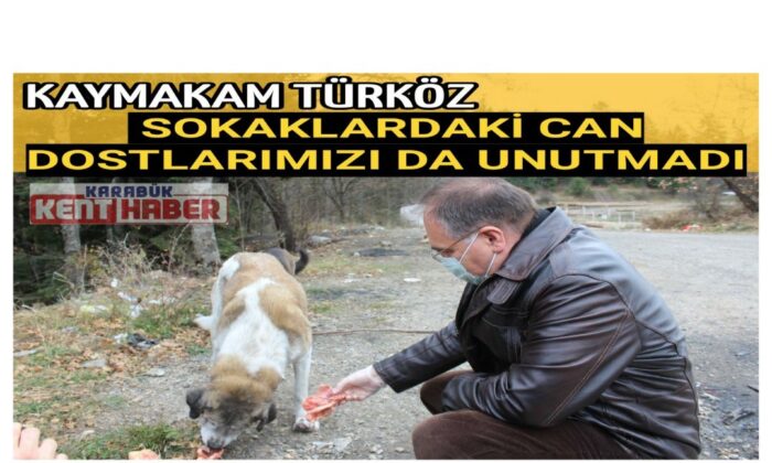 KAYMAKAM TÜRKÖZ SOKAKLARDAKİ CAN DOSTLARIMIZI DA UNUTMADI