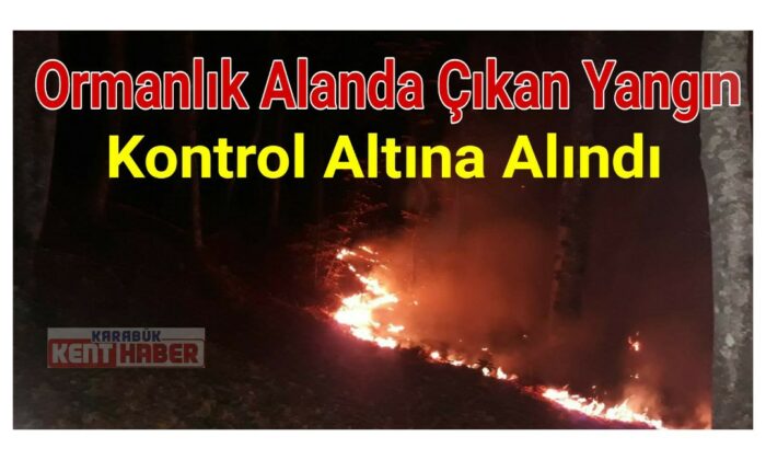 Karabük’te ormanlık alanda yangın
