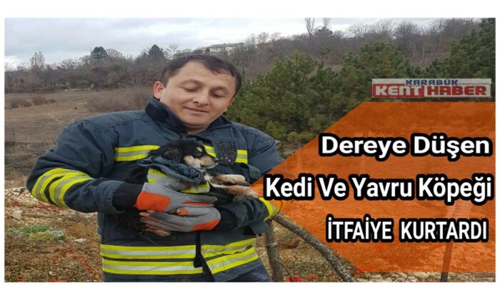 Karabük’te dereye düşen kedi ve yavru köpeği itfaiye kurtardı