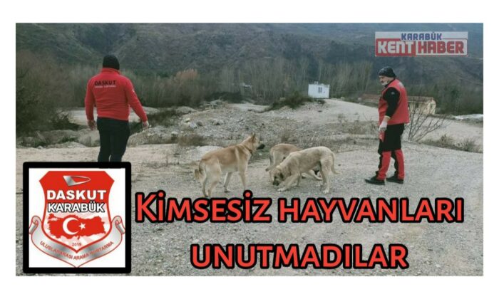 DASKUT Kimsesiz hayvanları unutmadı