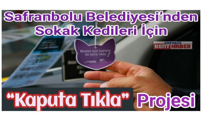 Safranbolu Belediyesi’nden sokak kedileri için “Kaputa Tıkla” projesi
