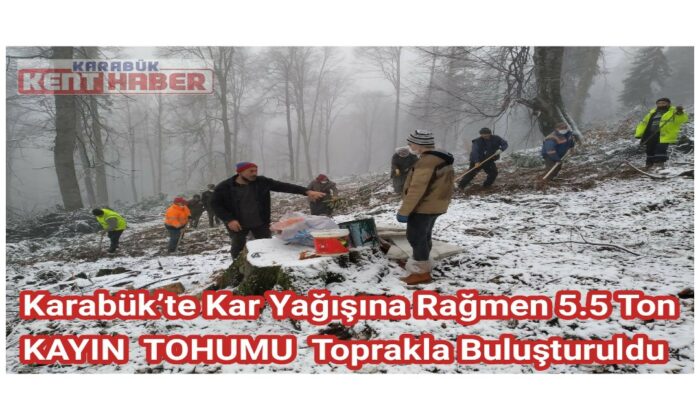 Karabük’te kar yağışına rağmen 5.5 ton kayın tohumu toprakla buluşturuldu