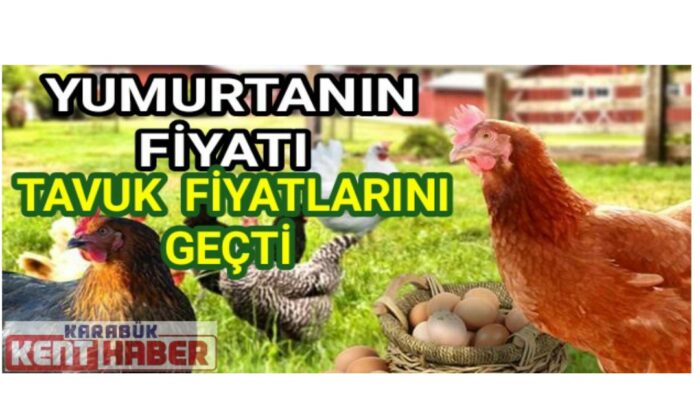 Yumurtanın Fiyatı Tavuk Fiyatlarını Geçti