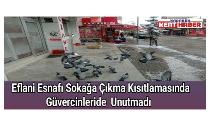 Eflani esnafı Sokağa çıkma kısıtlamasında güvercinleride unutmadı
