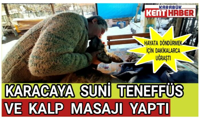 Karacayı Hayata Döndürmek İçin Dakikalarca Uğraştı