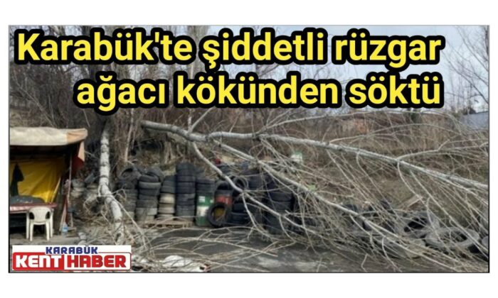 Karabük’te şiddetli rüzgar ağacı kökünden söktü