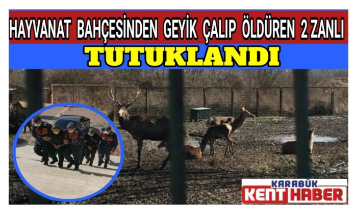Hayvanat bahçesinden geyik çalıp öldüren 2 zanlı tutuklandı