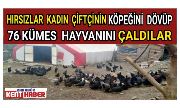 Hırsızlar kadın çifçinin 76 kümes hayvanını çaldılar