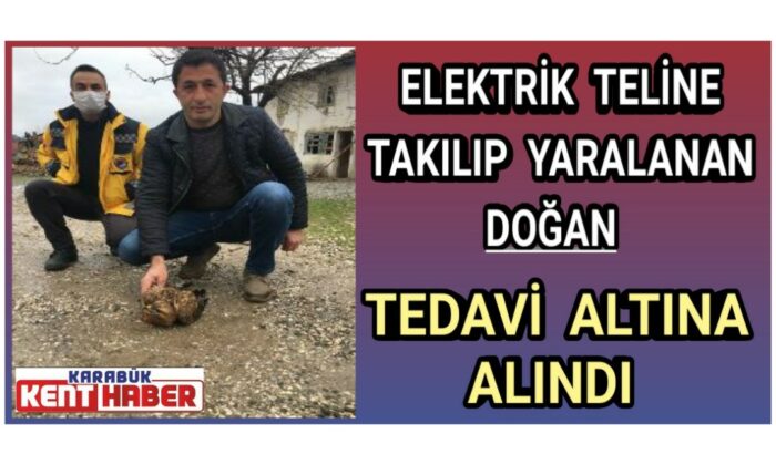 Elektrik teline takılıp yaralanan doğan tedavi altına alındı