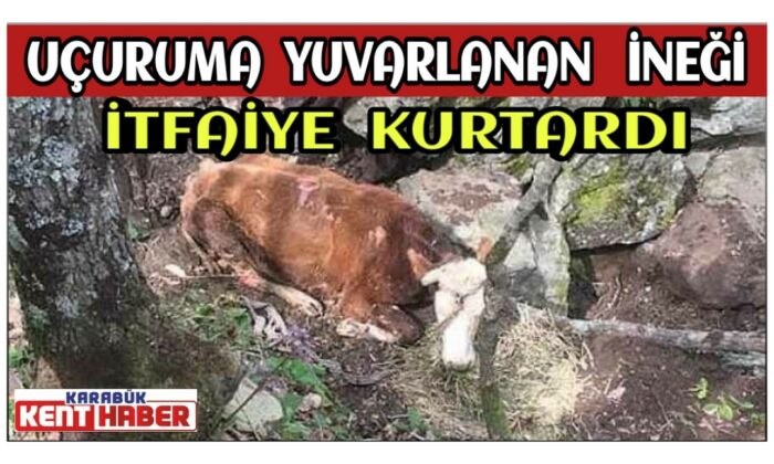 Uçuruma yuvarlanan ineği itfaiye kurtardı