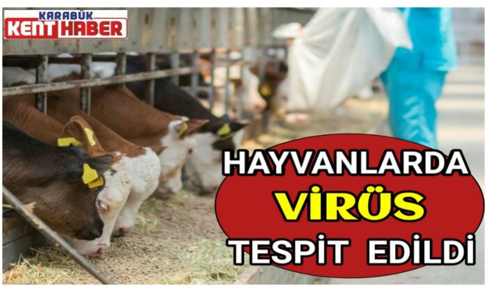 Hayvanlarda virüs tespit edildi