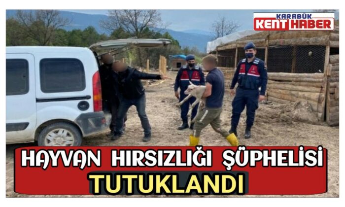Karabük’te hayvan hırsızlığı şüphelisi tutuklandı