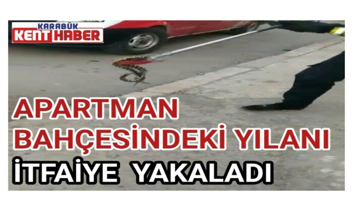 Apartman bahçesindeki yılanı itfaiye yakaladı