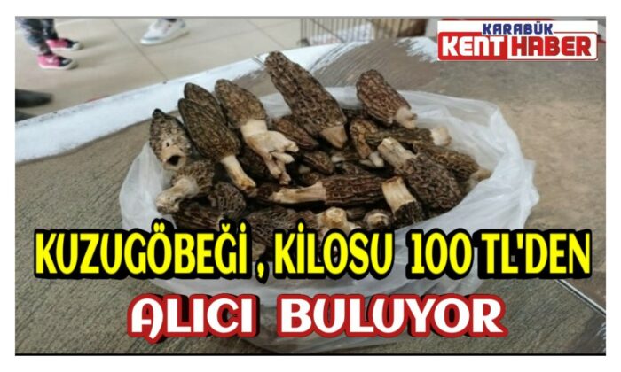 Kuzugöbeği, kilosu 100 TL’den alıcı buluyor