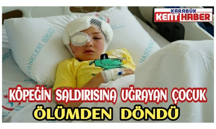 Köpeğin saldırısına uğrayan çocuk ölümden döndü