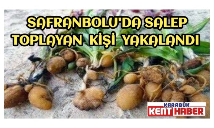 Safranbolu’da salep toplayan kişi yakalandı
