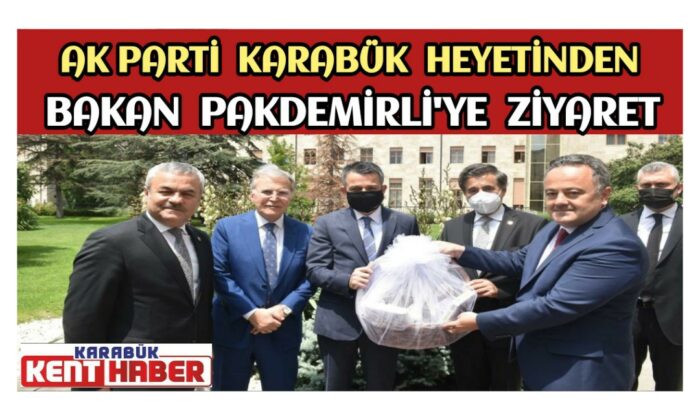 AK Parti Karabük Heyetinden Bakan Pakdemirli’ye Ziyaret