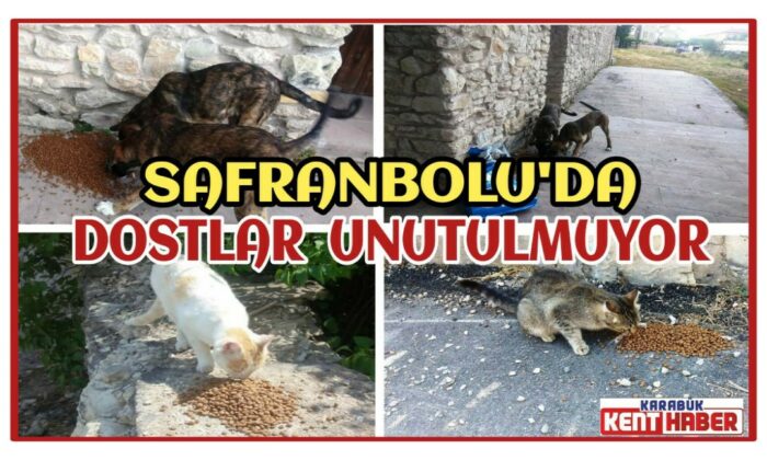 Safranbolu’da can dostlar unutulmuyor