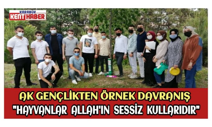 AK Parti Gençliğinden  Örnek Davranış