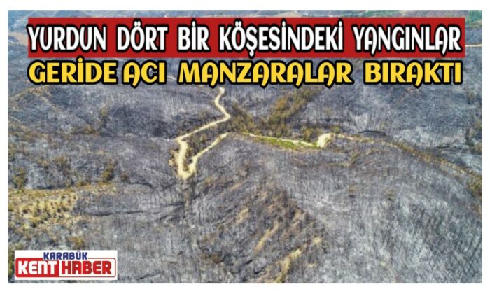 Yurdun dört bir köşesindeki yangınlar geride acı manzaralar bıraktı