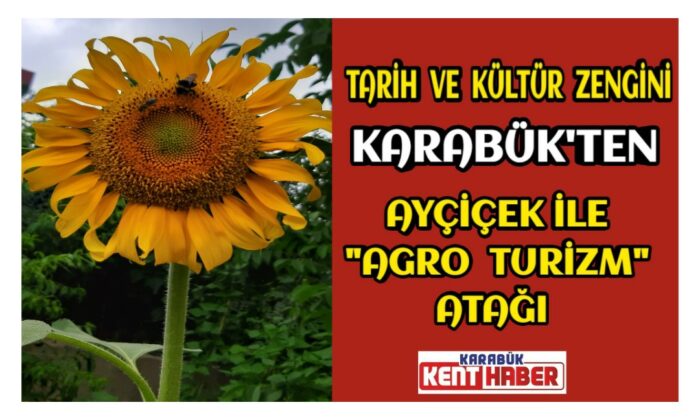 Tarih ve kültür zengini Karabük’ten ayçiçek ile “agro turizm” atağı
