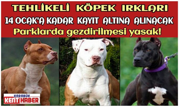 Tehlikeli Köpek Irkları 14 Ocak 2022 Tarihine Kadar Kayıt Altına Alınacak